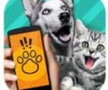 猫狗翻译器app免费下载_猫狗翻译器安卓最新版下载