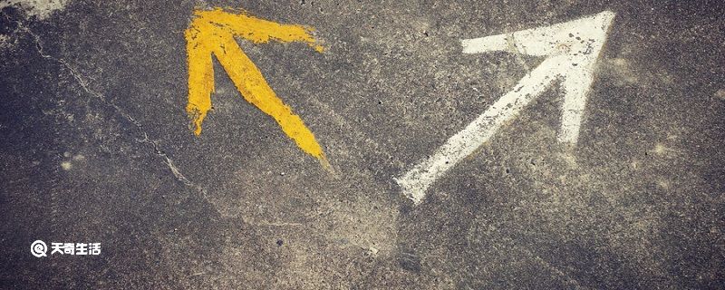 自然界辨别方向的方法-如何辨别方向的方法或自然现象